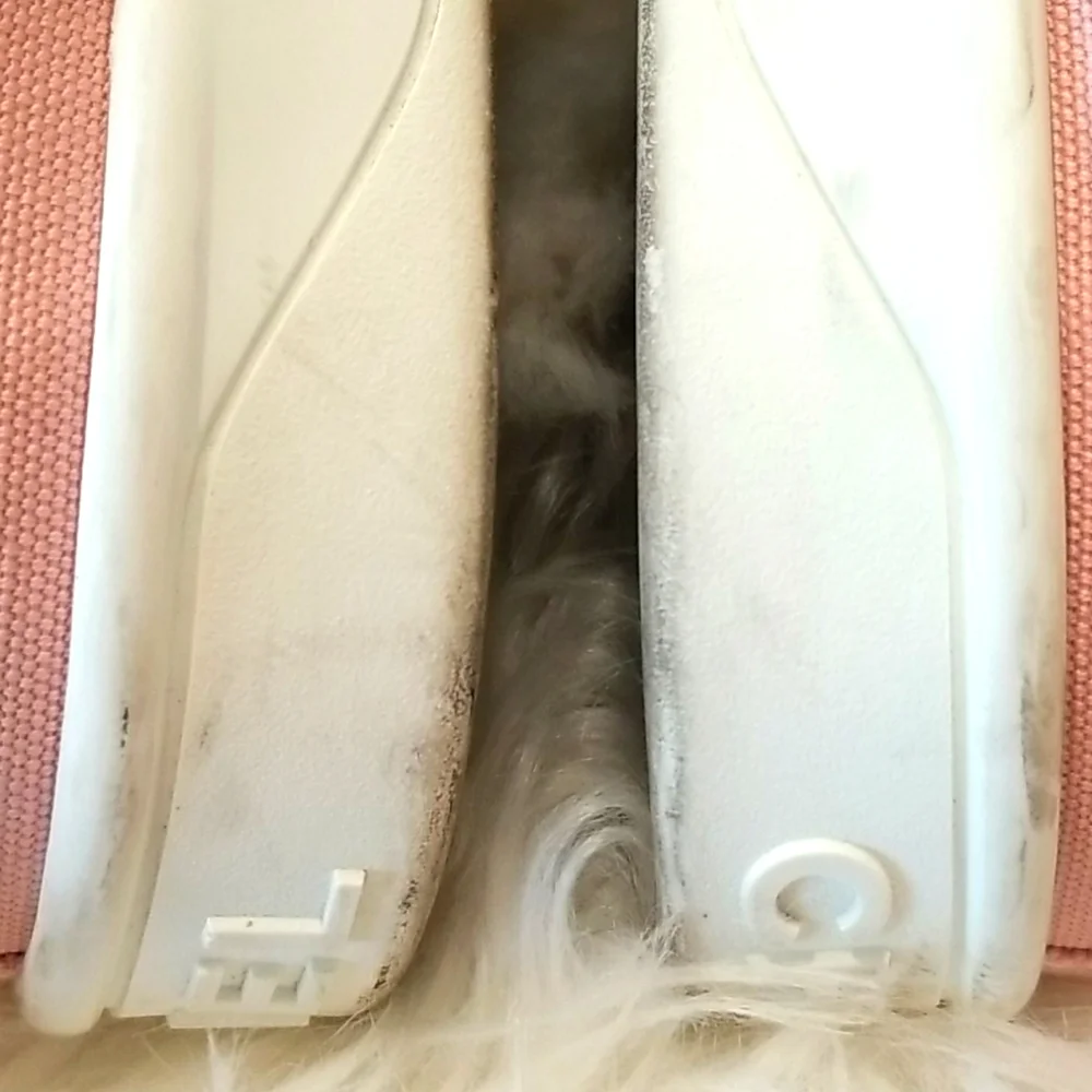 CHANEL low top